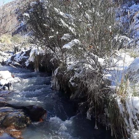 Cabana Pura Vida Potrerillos Zewnętrze zdjęcie