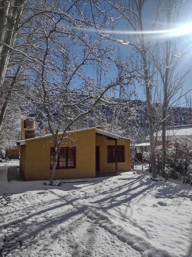 Cabana Pura Vida Potrerillos Zewnętrze zdjęcie