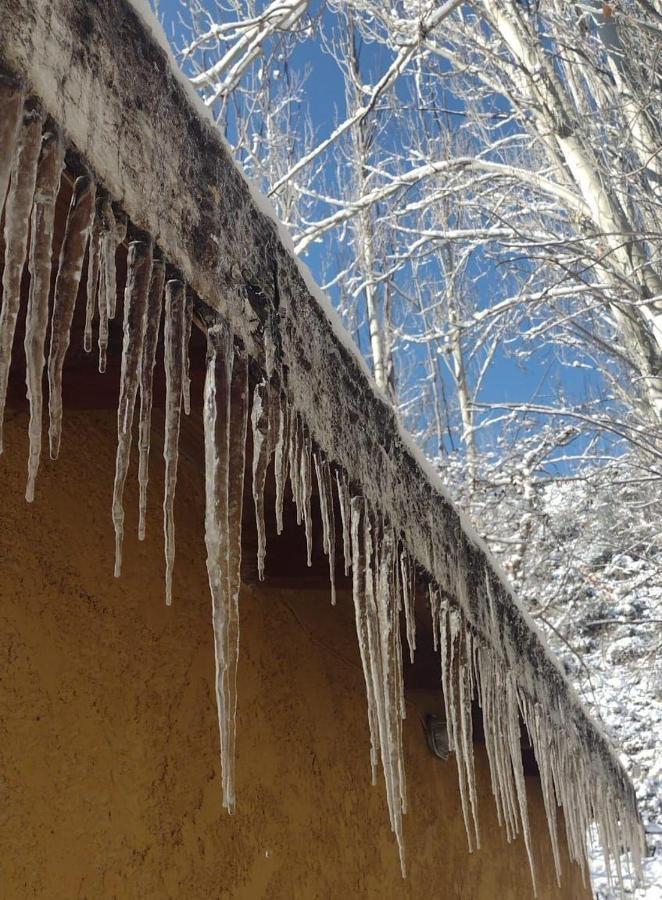 Cabana Pura Vida Potrerillos Zewnętrze zdjęcie