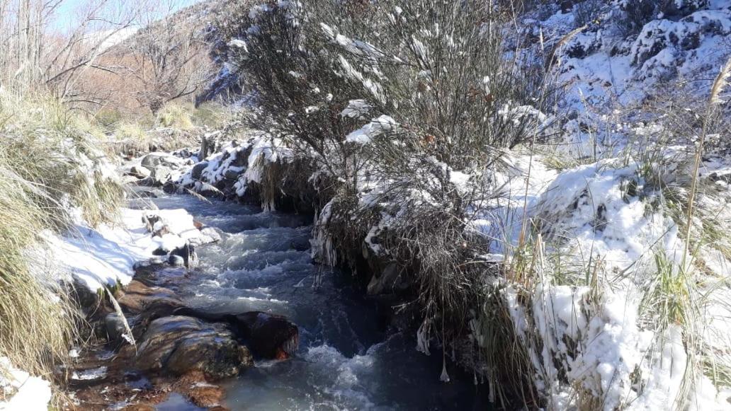 Cabana Pura Vida Potrerillos Zewnętrze zdjęcie